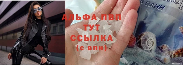 шишки Абаза