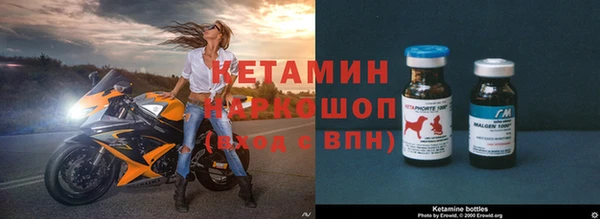 прущие грибы Новокубанск