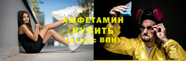 шишки Абаза
