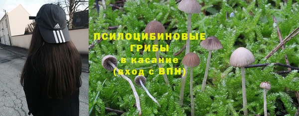ГАЛЛЮЦИНОГЕННЫЕ ГРИБЫ Алексеевка