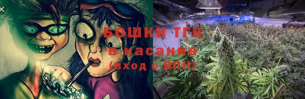 шишки Абаза